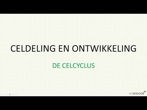 Celdeling en ontwikkeling: de celcyclus