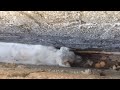 Stranger approaches a dog stuck between two narrow walls and does the necessary