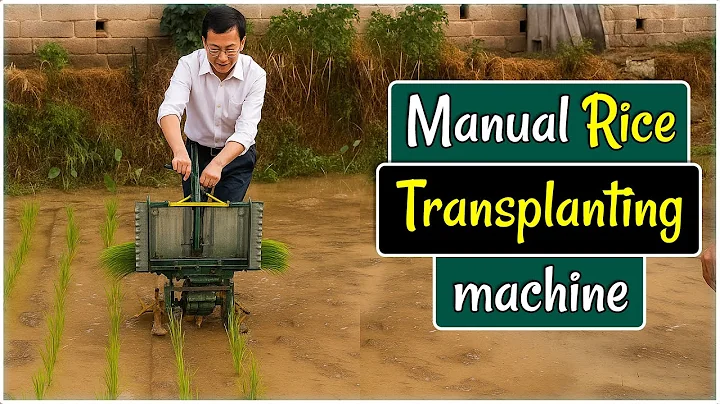 Amazing Manual Rice Planter Machine / Manual Paddy Transplanting Tool