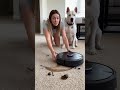 When Your Smart Vacuum Gets a Little Too Excited.Funny Pets, Robot Vacuum Fails, Cute Moments #cat
