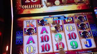 У казино Лас -Вегасі джекпоти платять / буйвол золотий джекпот на скріншоті Лас -Вегаса 8