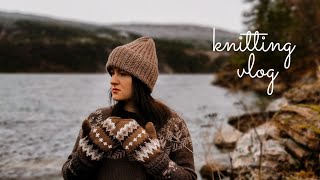 видео: VLOG 59/2021 | ВАРЕЖКИ С ЖАККАРДОМ ИЗ ОСТАТКОВ ПРЯЖИ | BERNIE SANDERS MITTENS #вязание_на_выживание2 картинка: VLOG 59/2021 | ВАРЕЖКИ С ЖАККАРДОМ ИЗ ОСТАТКОВ ПРЯЖИ | BERNIE SANDERS MITTENS #вязание_на_выживание2