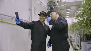 Growing with PRO-MIX®
