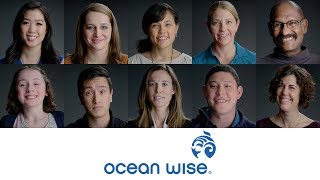 We Are Ocean Wise