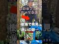 【ヤバすぎた】栗原亨が考察…樹海の落とし物…謎のブルーシート残留物