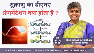 Sperm DNA Fragmentation Test || शुक्राणु का डीएनए फ्रेगमेंटेशन क्या होता है || Dr Chekuri Suvarchala