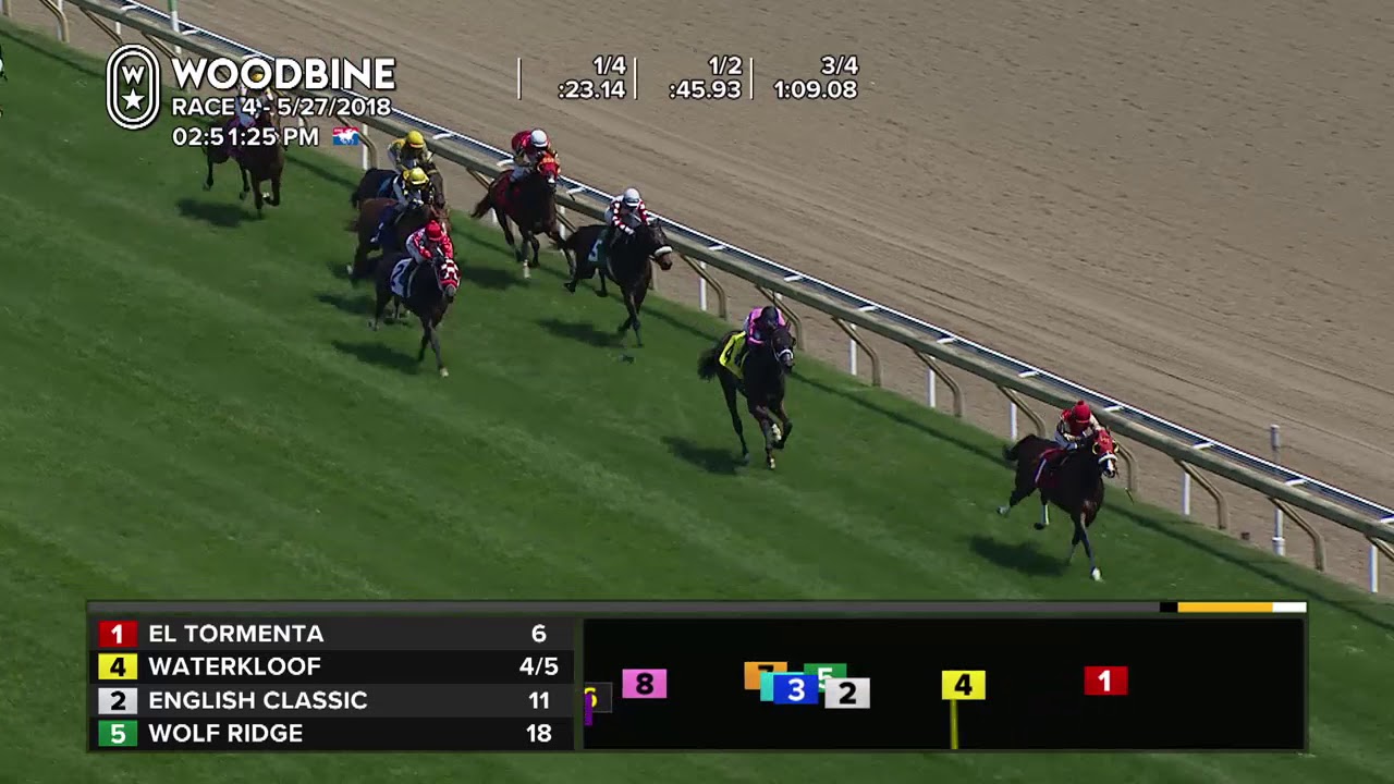 woodbine thoroughbred results today
