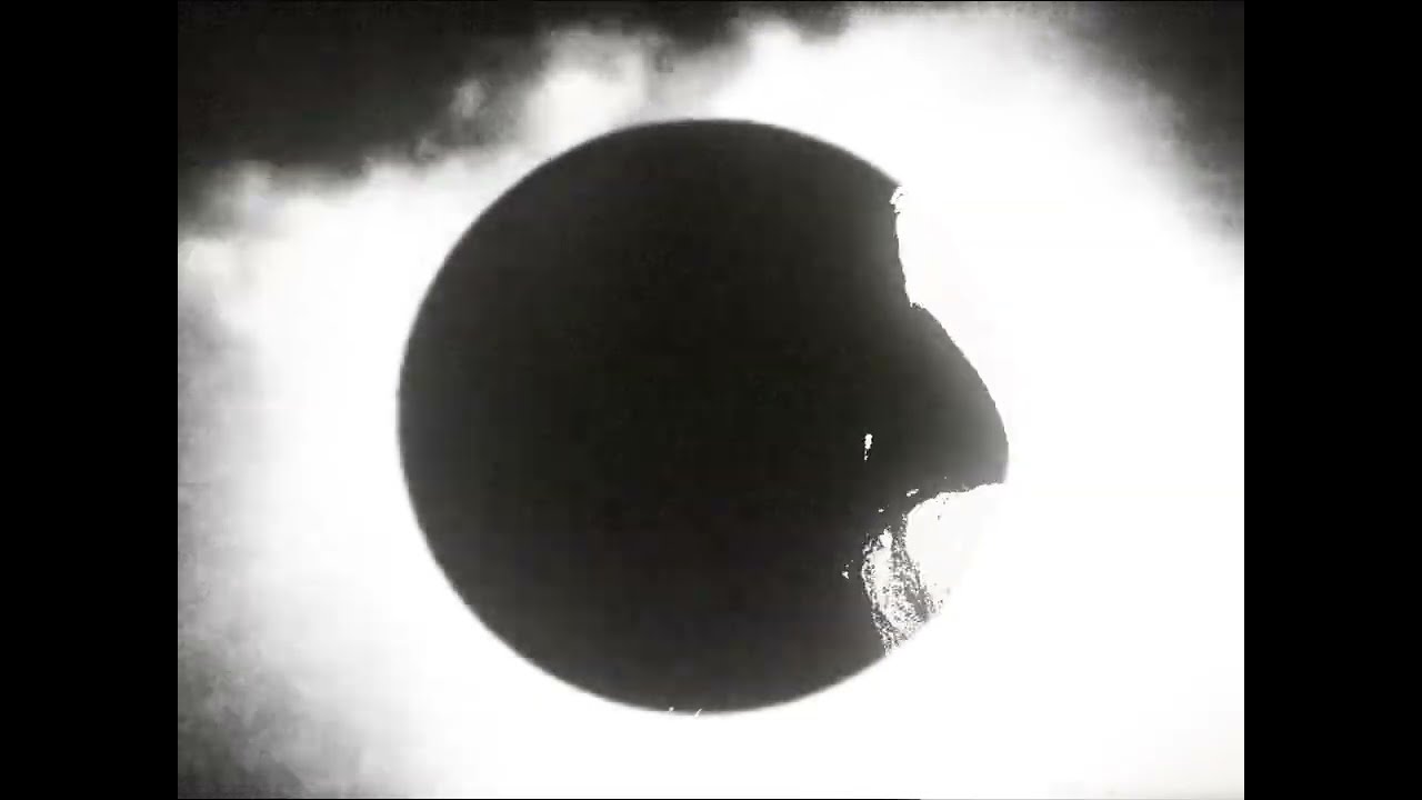 Golden Cats - yearn for you (shadow)