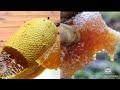 Big yummy local honey in jungle😳😱