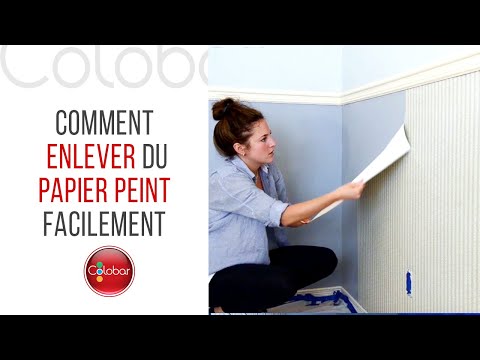 Vidéo: Comment Réduire Le Papier Peint