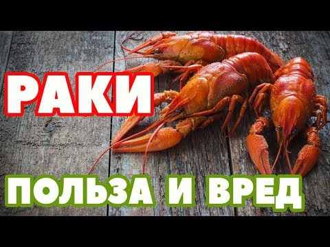 Раки: польза и вред, противопоказания. Готовим раков чили.