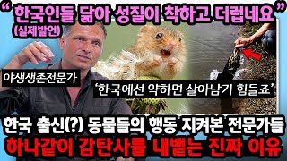 한국꺼는 귀엽고 예뻐도 방심하면 안돼