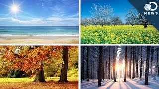 Can Your Birth Month Affect Your Personality? Can Your Birth Month Affect Your Personality?