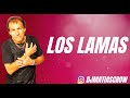 Los Lamas  -  Enganchados Hits  - Matias Crow Dj