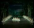 P.I.Tchaikovsky - Swanlake - dance of the little swans