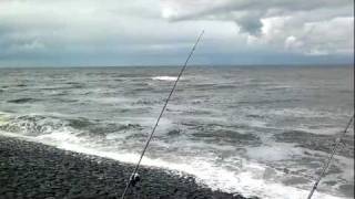 Gevist In Petten, Video Van Mijn Telefoon