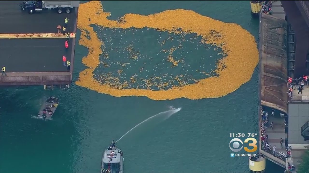 Thousands Of Rubber Duckies Dumped Into River For Good Cause