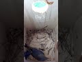#birds #facts #trending #shorts #youtubeshorts #shortvideo #shortsfeed