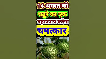 14अगस्त अधिकमास सावन शिवरात्रि अचूक उपाय।। sawan Shivratri uapay।।#pandit_pradeep_ji_mishra #shorts