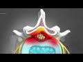 Endovision spine ube spine endoscopic surgery 3d animation