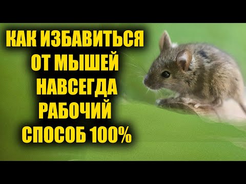 Как избавиться от