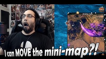 VB moves the mini-map | Rytlock and Logan DF interactions | GW2 Highlights