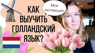 видео: Как выучить нидерландский язык ? | Мой опыт изучения нидерландского языка картинка: Как выучить нидерландский язык ? | Мой опыт изучения нидерландского языка