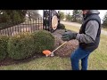 STIHL BED REDEFINER HOW TO USE in 2 MIN