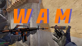 WAM x ANOTHER ONE BITES THE DUST | A CS2 MONTAGE