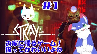 【＃1/STRAY】　お家に帰ります！！