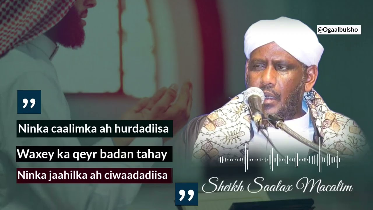 Caalimka Hurdadiisa Waxeey Ka Khery Badan Tahay Jaahilka Ciwaadadiisa || Sh Saalah Macalim #qiso​