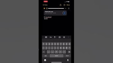 Mac Ty x Lil Double 0 - Profiling (Snippet) #unreleased #lildouble0