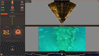BUVI index web ROV and sonar, fish screenshot 4