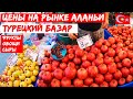 Цены на рынке в АЛАНЬЕ. Приятный ШОК от ТУРЦИИ. Закупились у фермеров на 40 кг. Еле увезли на МОТО.