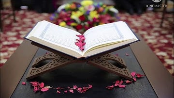 سورة تدل على قدرة الخالق وخلق الأرض ومافيها من أيات