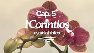 1 Corinthians Chapter 5 — Bible Study