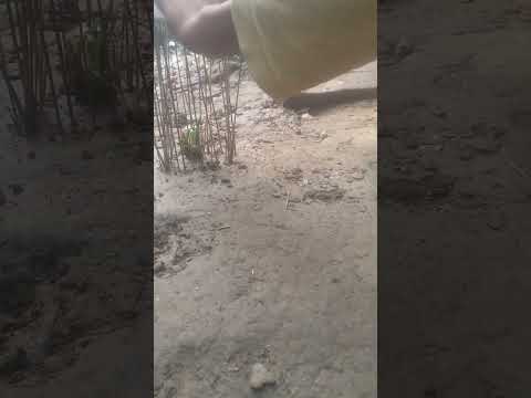 dekho maine Ek Gach ka madad Kiya | | #RialGach | | #shortsvideo || #ytshorts