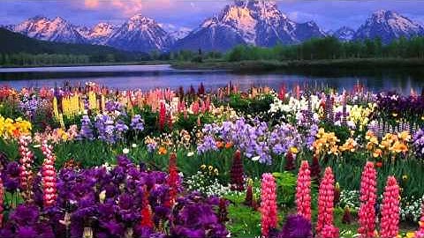 سورة البينة عبدالرحمن السديس - Surah Al baiynah Abdulrahman Al-Sudais