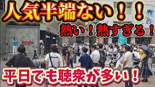 日本保守党　有本香　12時〜秋葉原駅で演説！