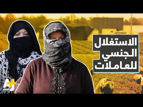 فيديو: قصة حقول الفراولة للأبد