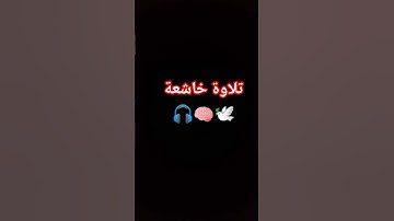 تلاوة خاشعة 🎧🧠 بصوت القارئ #اسلام_صبحي #قرآن #المصحف #راحة_نفسية #اكسبلور #quran #shortvideo #song
