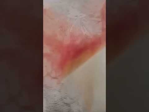 سلام مش هسلم كلام مش هكلم انسا انسا انساي اغنية أغنية اغاني