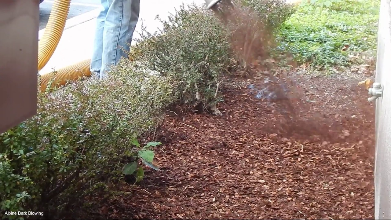 Bark Blowing in Medium Reg Fir Bark Mulch