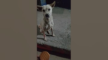 My first vlog #shorts #viral #trending #myfirstvlog