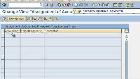 SAP FICO VIDEO TRAINING TUTORIALS 0034 FOREIGN CURRENCY (FC) BALANCES REVALUATION ECC6 - BAYISETTI