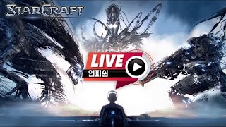 【 인피쉰 생방송 Live 】 스타 빨무 스타크래프트 Starcraft