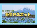 【大石公園】河口湖に来たらここ行って🌷