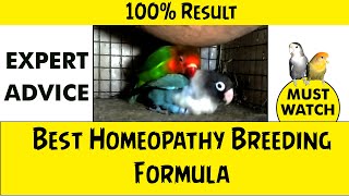 Best Homeopathy Breeding Formula For Our Birds . | 100% নিশ্চিত ফলাফল. | My Best Combination . screenshot 4