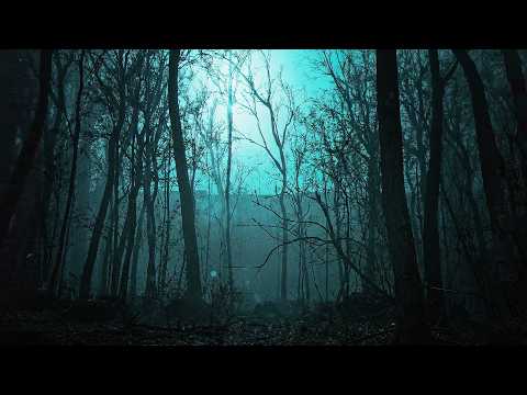 숲에 들어간 사람들이 모두 사라진 이유 (공포게임/The Strange <strong>Lights</strong>)