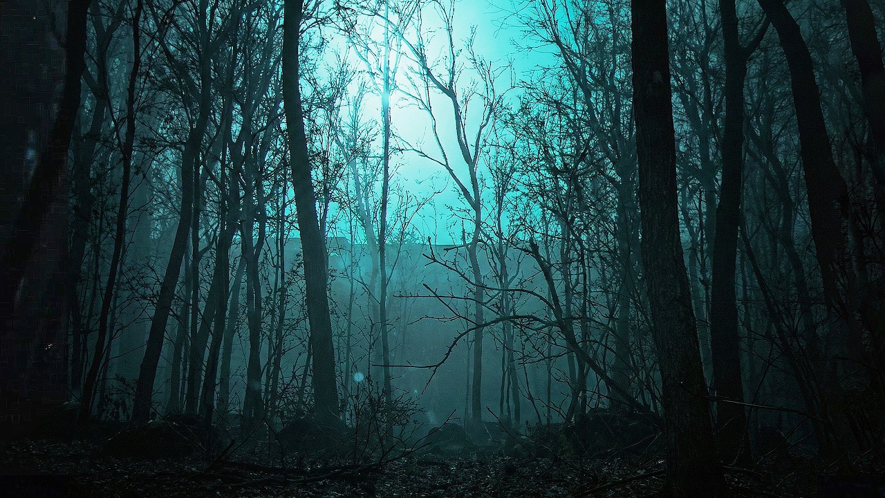 숲에 들어간 사람들이 모두 사라진 이유 (공포게임/The Strange Lights)